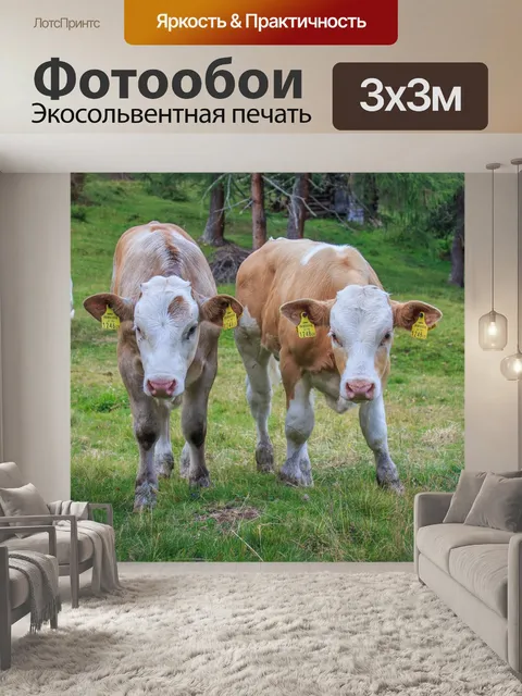 Фотообои Телец