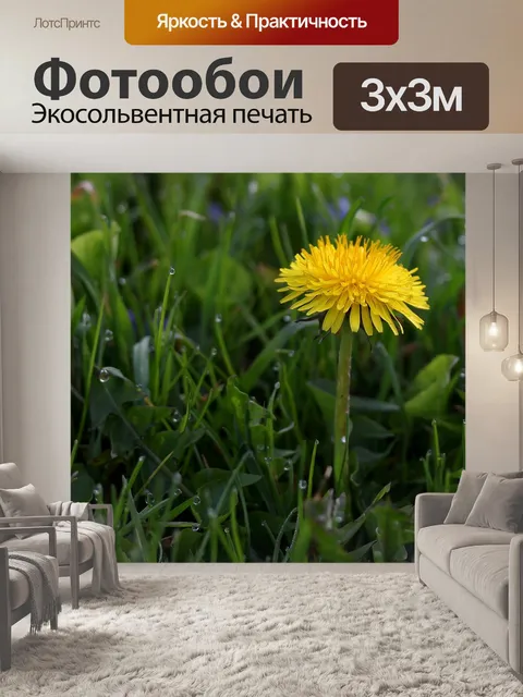 Фотообои Одуванчик