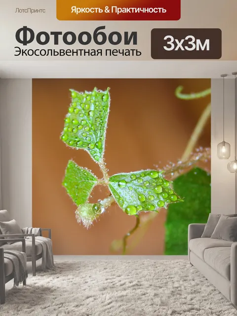 Фотообои Капли