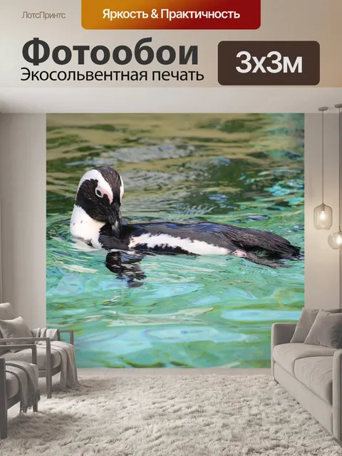 Фотообои Пингвин