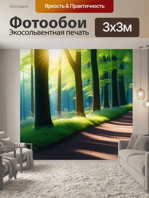 Фотообои тропа в лесу, освещенная солнцем