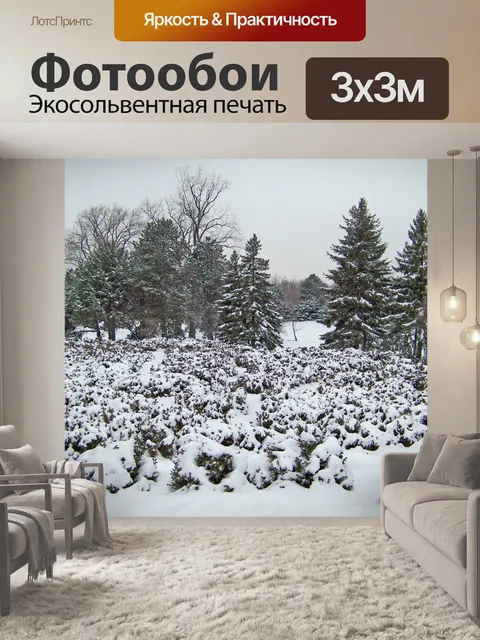 Фотообои Вечнозеленые деревья и кустарники