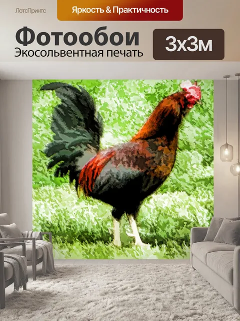 Фотообои Курица