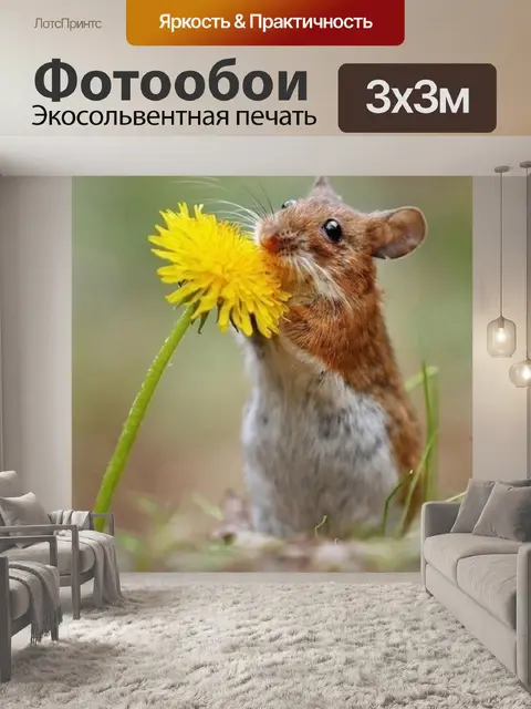 Фотообои Лошади
