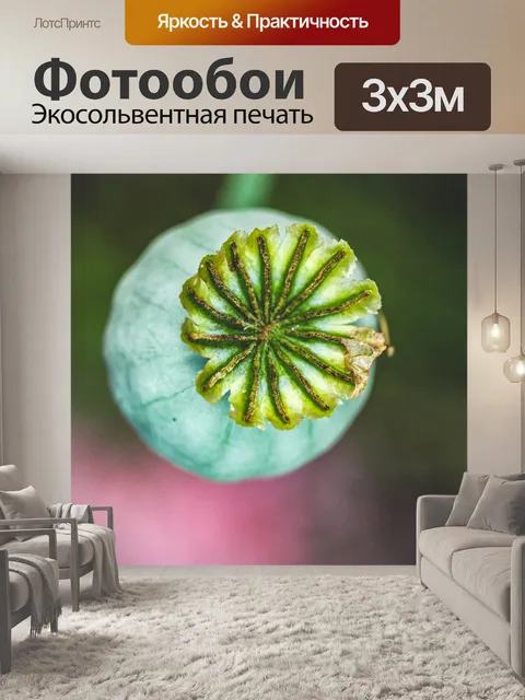 Фотообои Мак