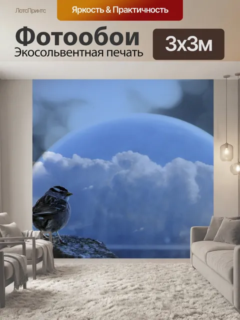 Фотообои Мир птиц - Облака