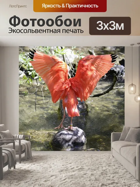 Фотообои Алый ибис