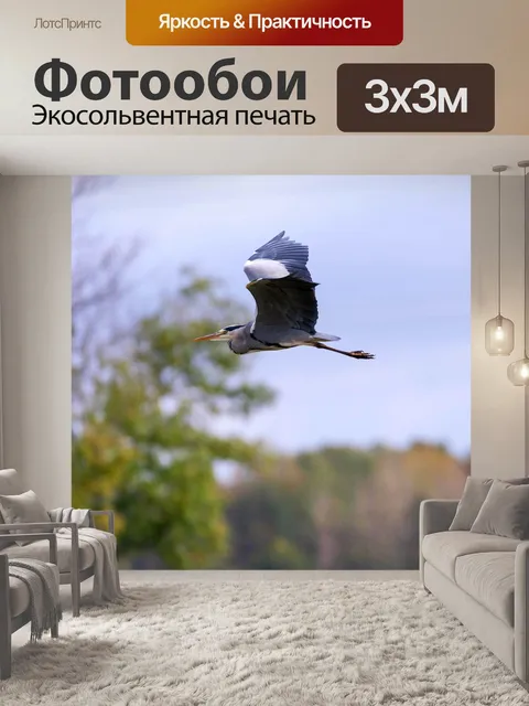 Фотообои Серая цапля