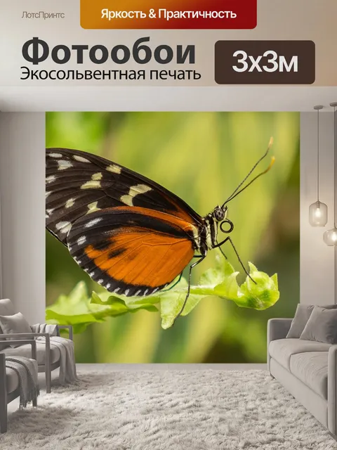Фотообои Сад бабочек бенальмадена