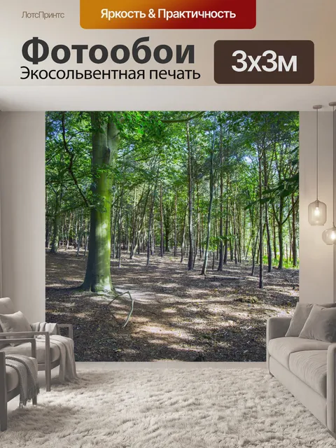 Фотообои лес