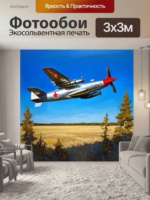Фотообои величественный самолет времен ссср