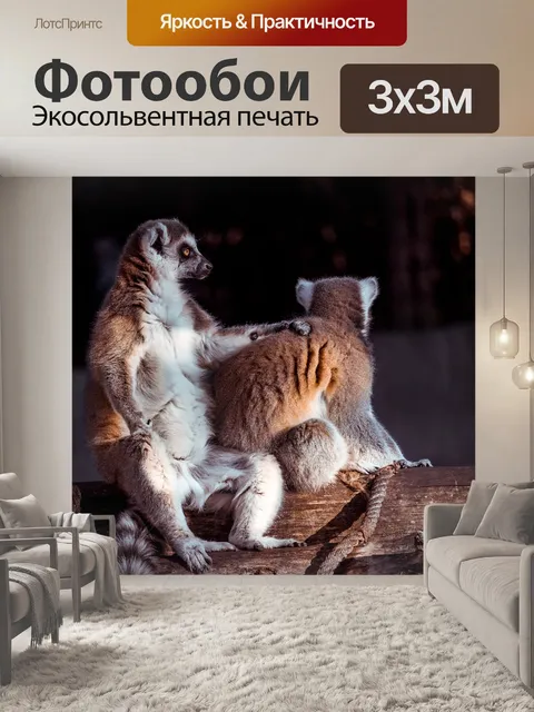 Фотообои Лемур