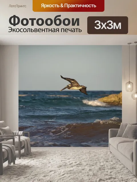 Фотообои Птица