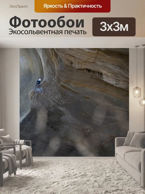 Фотообои чайка у моря