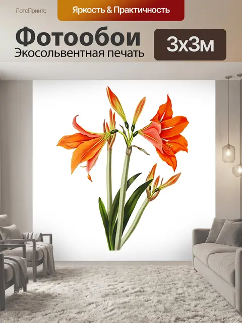Фотообои Винтажный клипарт цветок лилии