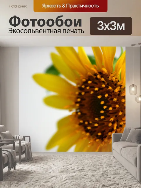 Фотообои Подсолнечник