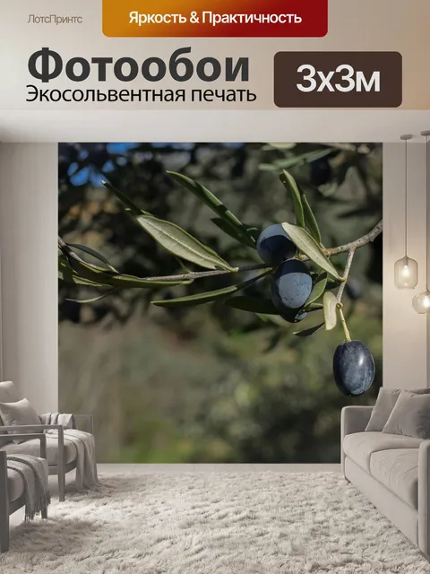 Фотообои Оливки