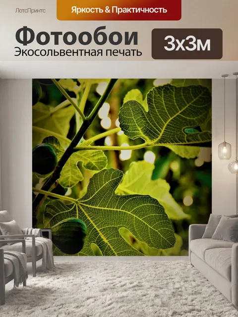 Фотообои Смоковница