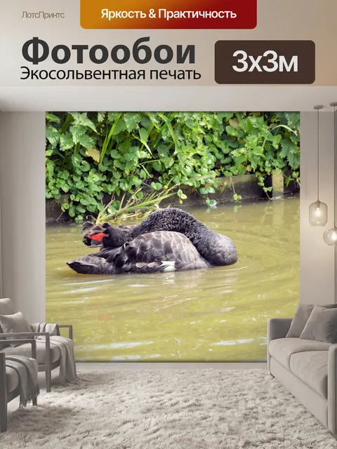 Фотообои Черный лебедь Series 2 водный балет 1