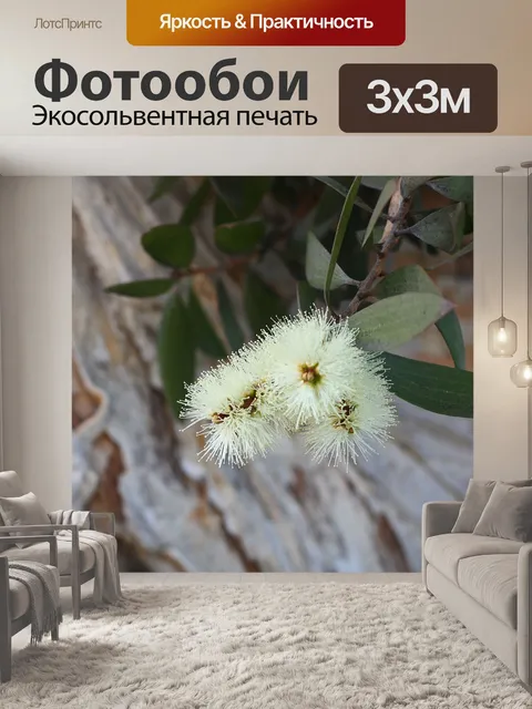 Фотообои Чайное дерево Blossom
