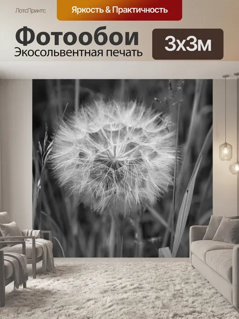 Фотообои одуванчик