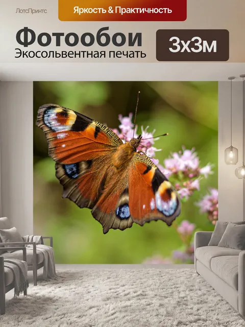 Фотообои Бабочка