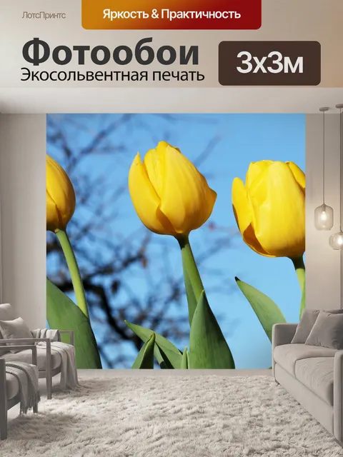 Фотообои Три желтых тюльпана