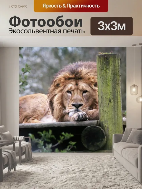 Фотообои Лев