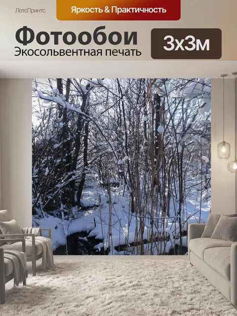Фотообои Лес, Польша