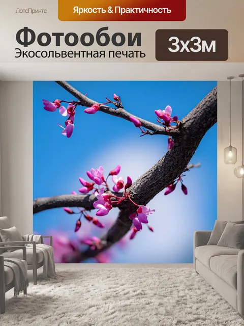 Фотообои Редбад