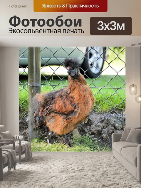 Фотообои Птица 04