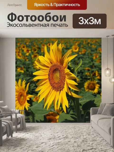 Фотообои Подсолнечное поле