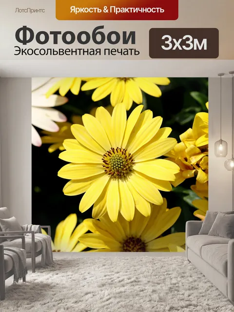 Фотообои Африканские ромашки