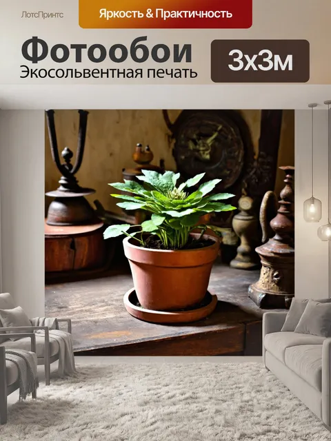 Фотообои астра в горшке на древнем деревянном столе