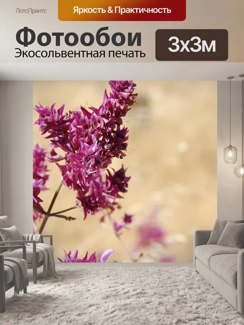 Фотообои Шалфей