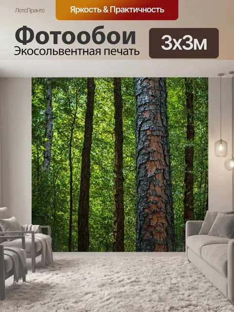 фотообои лес в стиле модерн