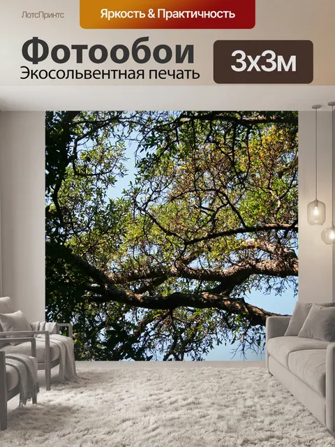 Фотообои сильные горизонтальные ветви фикуса