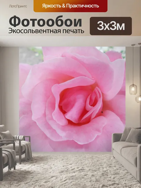 Фотообои Розовая роза