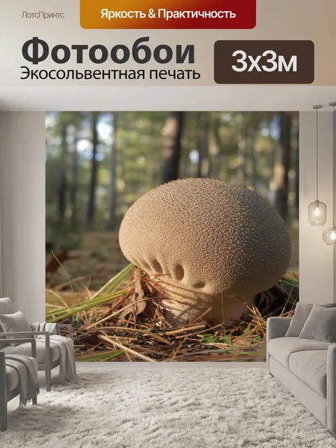 Фотообои Гриб