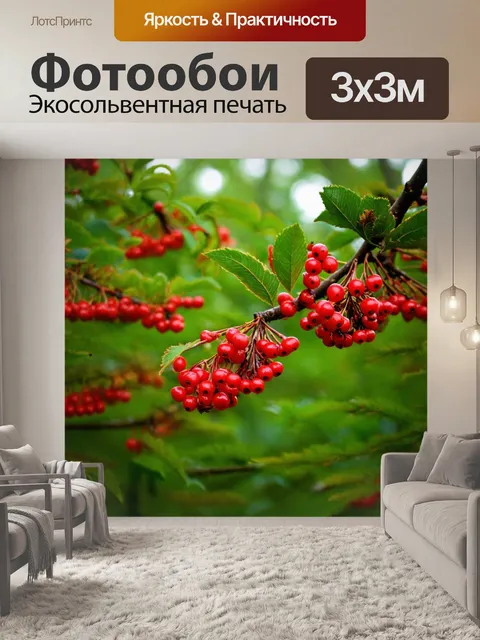Фотообои лес с рябиновыми ягодами, ярко-красные на фоне зелени