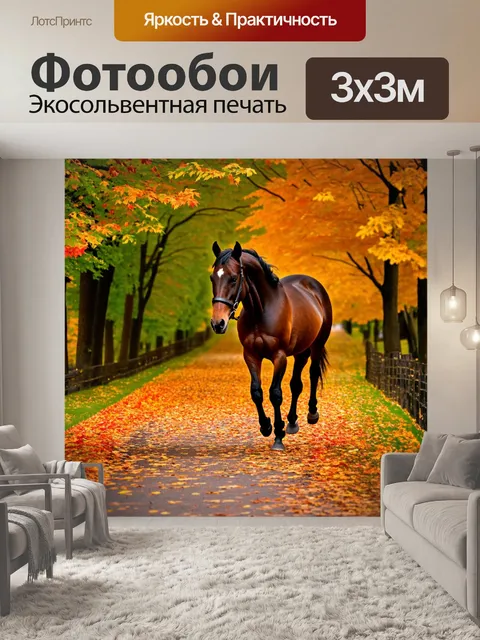 Фотообои лошадь, прогуливающаяся по дороге с усыпанными листьями