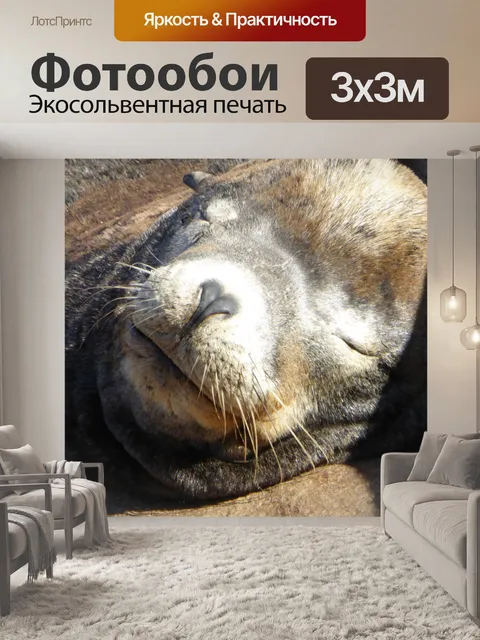 Фотообои Закройте спящего печатью