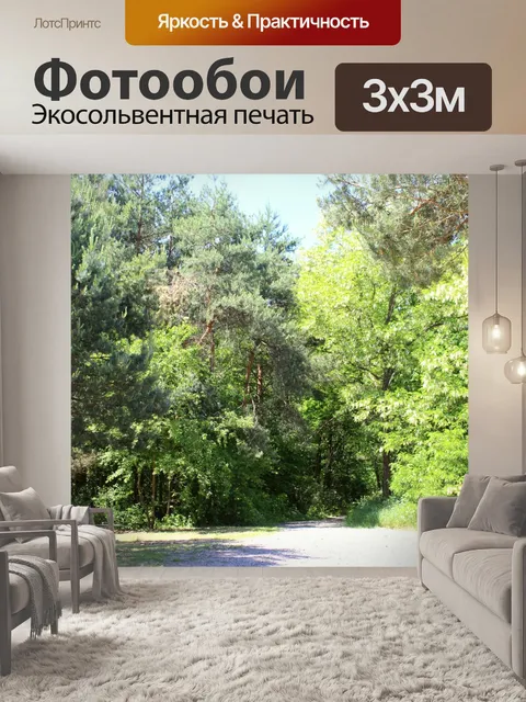 Фотообои Лес, Польша