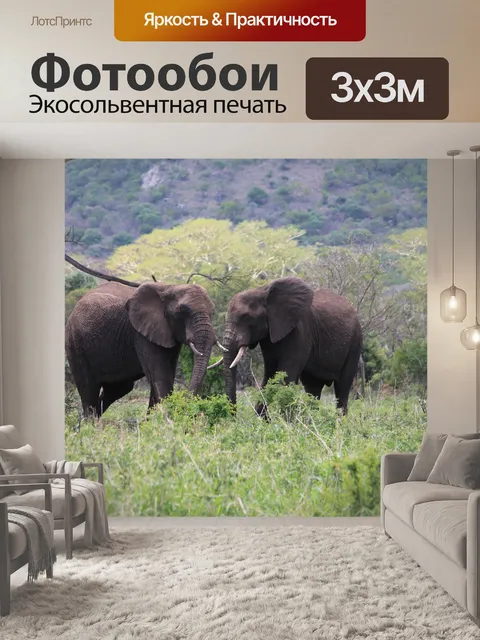 Фотообои Африка