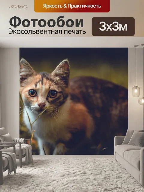 Фотообои Кошка