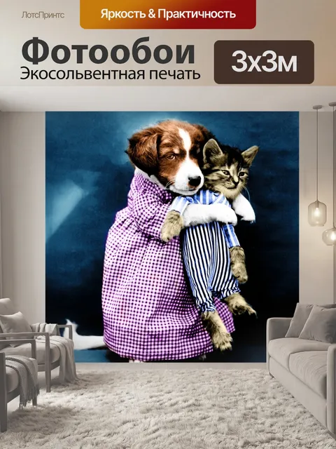 Фотообои Собака и кошка