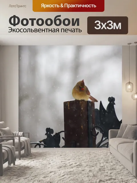 Фотообои Женский пол