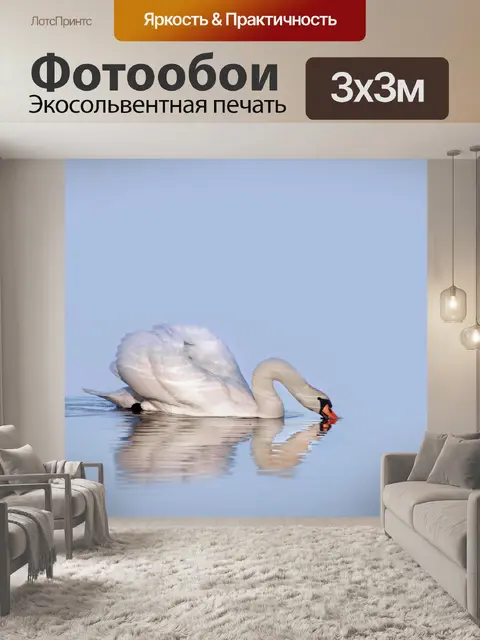 Фотообои Лебединое отражение воды птиц