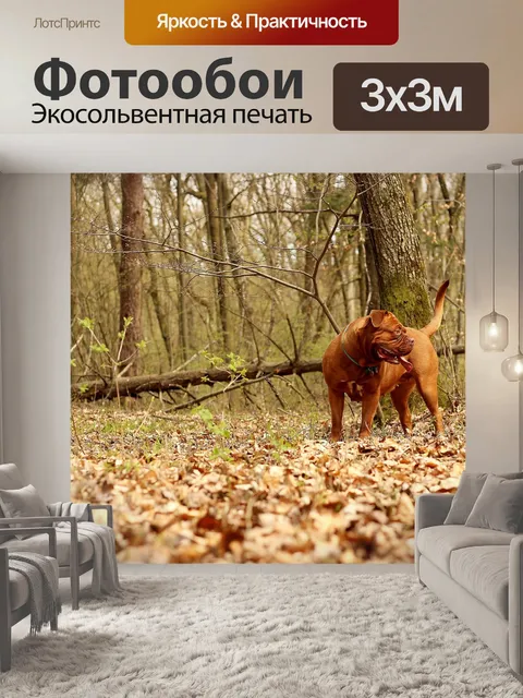Фотообои Барбара де бордо