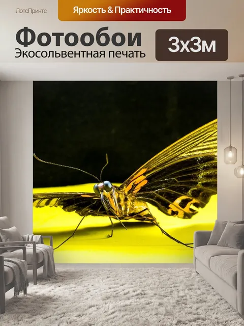 Фотообои Бабочка